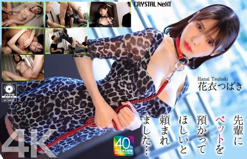 หนังผู้ใหญ่ 18+ CRNX-254 [4K] รุ่นพี่ของฉันขอให้ฉันดูแลสัตว์เลี้ยงของเขา... ซับไทย ครบทุกตอน ดูฟรี HD