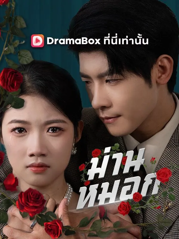 ซีรีส์แนวตั้ง ม่านหมอก(พากย์ไทย) พากย์ไทย ครบทุกตอน ดูฟรี HD