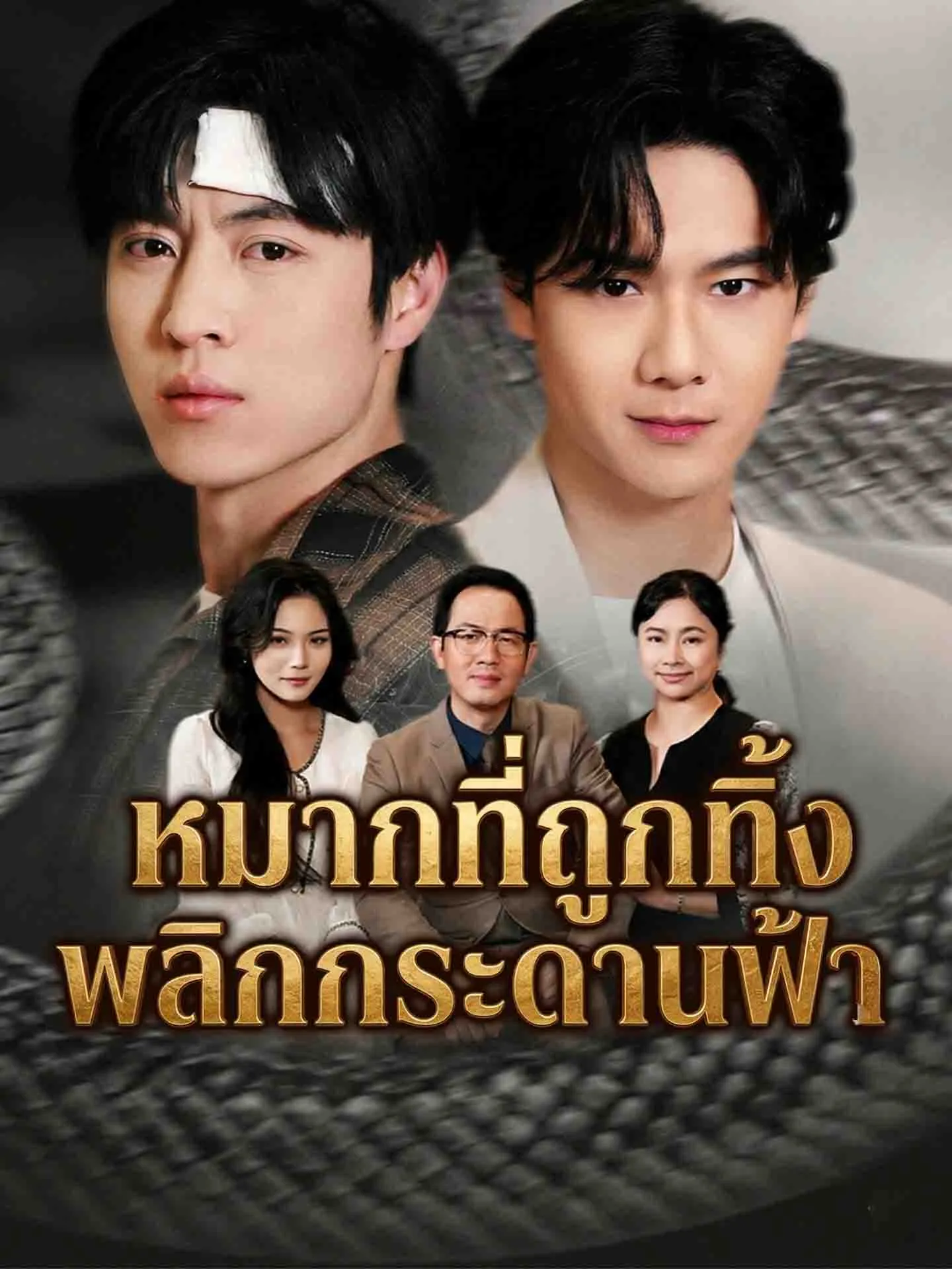 ซีรีส์แนวตั้ง หมากที่ถูกทิ้ง พลิกกระดานฟ้า ซับไทย ครบทุกตอน ดูฟรี HD