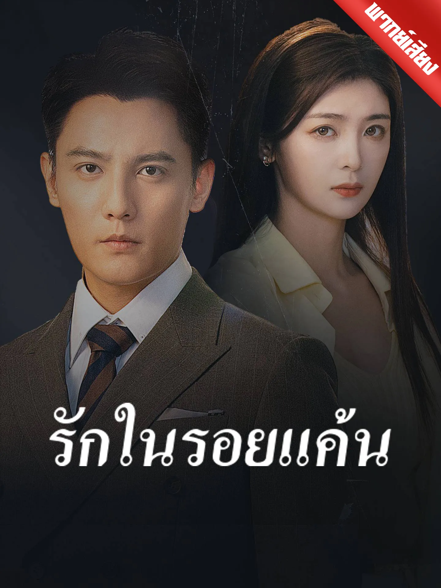 ซีรีส์แนวตั้ง [พากย์เสียง] รักในรอยแค้น พากย์ไทย ครบทุกตอน คมชัด HD