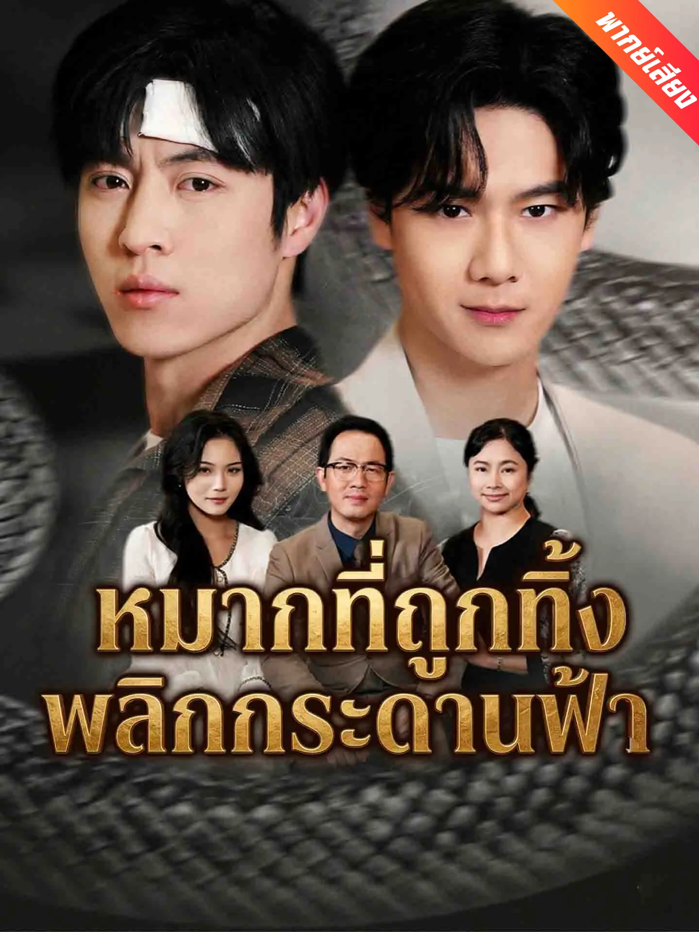ซีรีส์แนวตั้ง [พากย์เสียง] หมากที่ถูกทิ้ง พลิกกระดานฟ้า พากย์ไทย ครบทุกตอน ดูฟรี HD