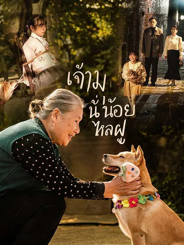ซีรีส์แนวตั้ง (พากย์ไทย) เจ้าหมาน้อยไหลฝู พากย์ไทย ครบทุกตอน คมชัด HD
