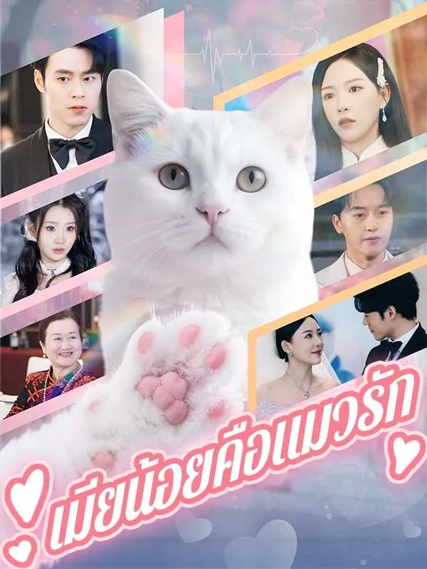 ซีรีส์แนวตั้ง เมียน้อยคือแมวรัก ซับไทย ครบทุกตอน คมชัด HD