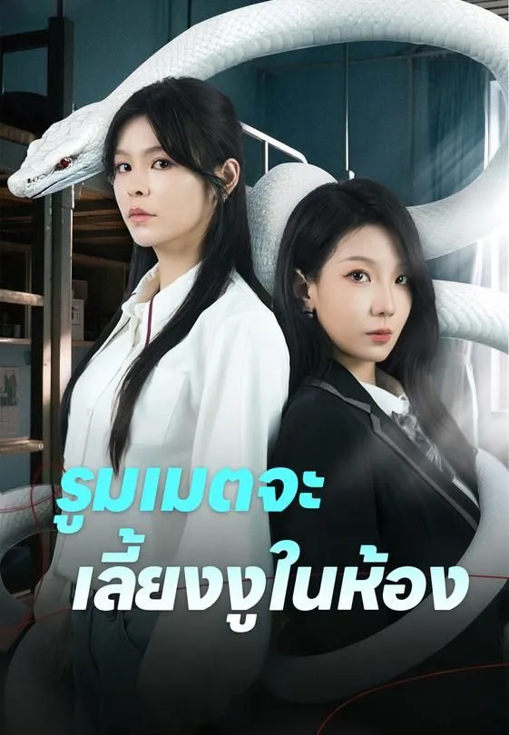 ซีรีส์แนวตั้ง รูมเมตจะเลี้ยงงูในห้อง ซับไทย ครบทุกตอน ดูฟรี HD