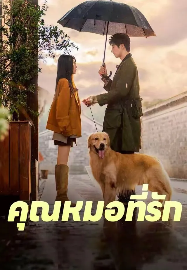 ซีรีส์แนวตั้ง (พากย์)คุณหมอที่รัก พากย์ไทย ครบทุกตอน คมชัด HD