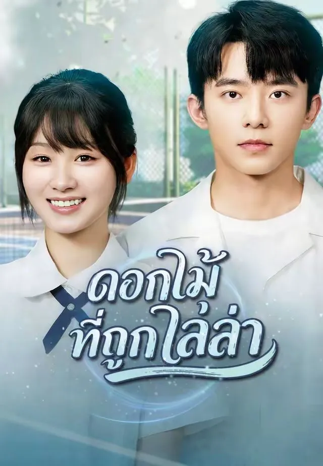 ซีรีส์แนวตั้ง (พากย์)ดอกไม้ที่ถูกไล่ล่า พากย์ไทย ครบทุกตอน คมชัด HD