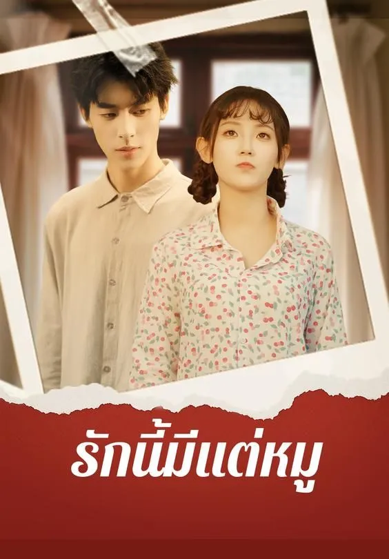 ซีรีส์แนวตั้ง รักนี้มีแต่หมู ซับไทย ครบทุกตอน ดูฟรี HD
