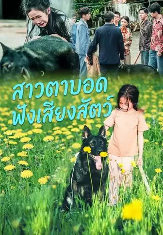 ซีรีส์แนวตั้ง สาวตาบอดฟังเสียงสัตว์ ซับไทย ครบทุกตอน คมชัด HD