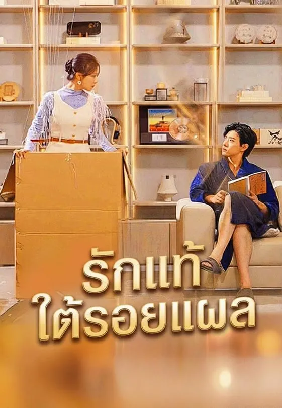 ซีรีส์แนวตั้ง รักแท้ใต้รอยแผล ซับไทย ครบทุกตอน ดูฟรี HD