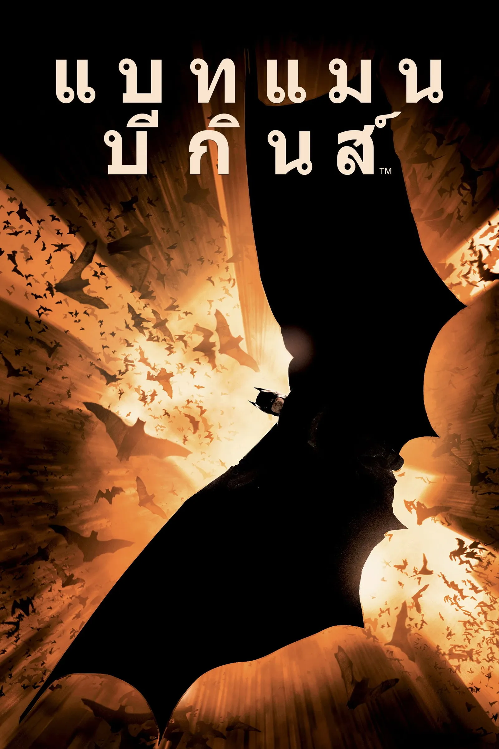 ภาพยนตร์ แบทแมน บีกินส์ ซับไทย ครบทุกตอน ดูฟรี HD