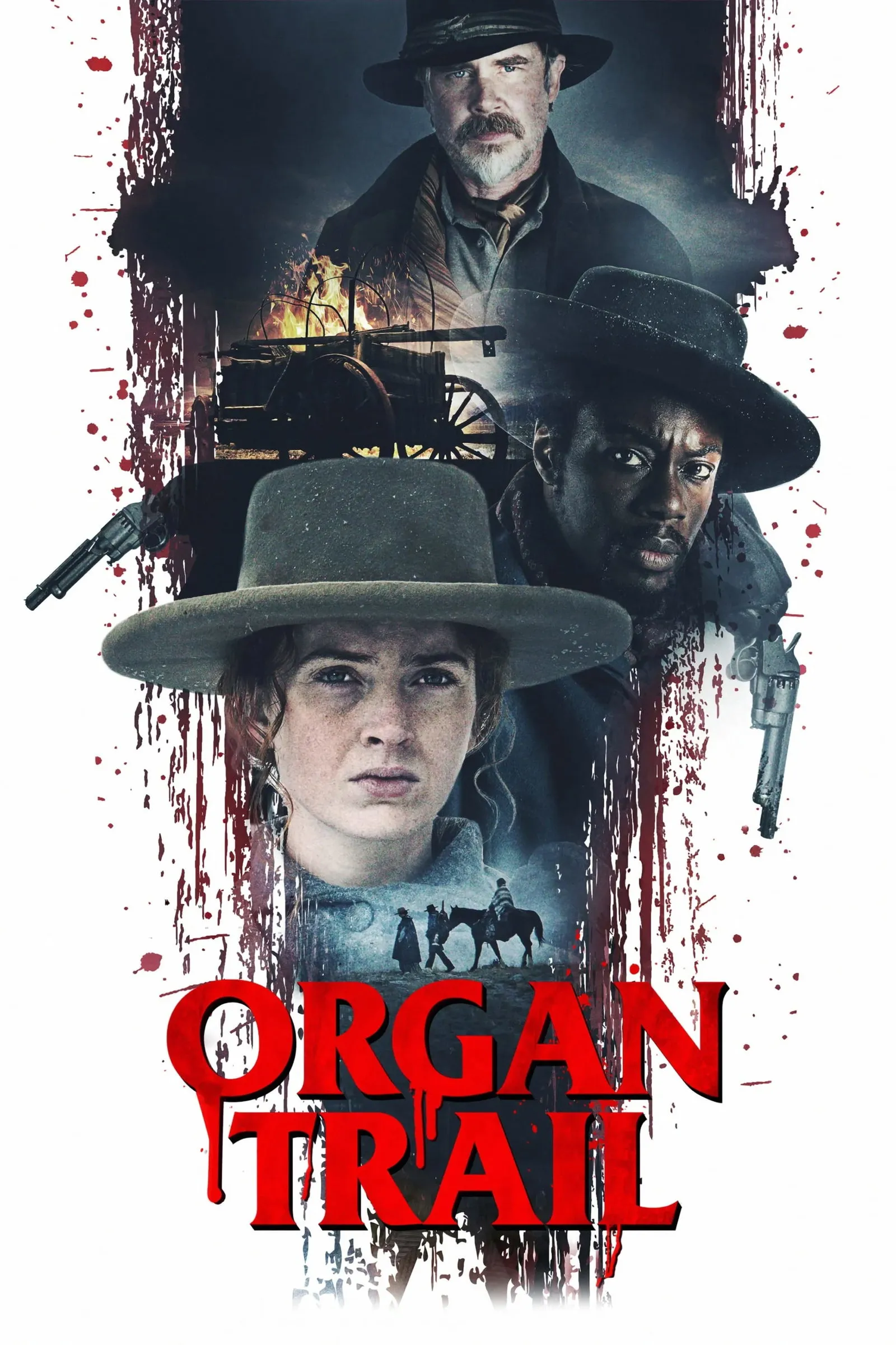 ภาพยนตร์ Organ เส้นทางสายมรณะ ซับไทย ครบทุกตอน ดูฟรี HD