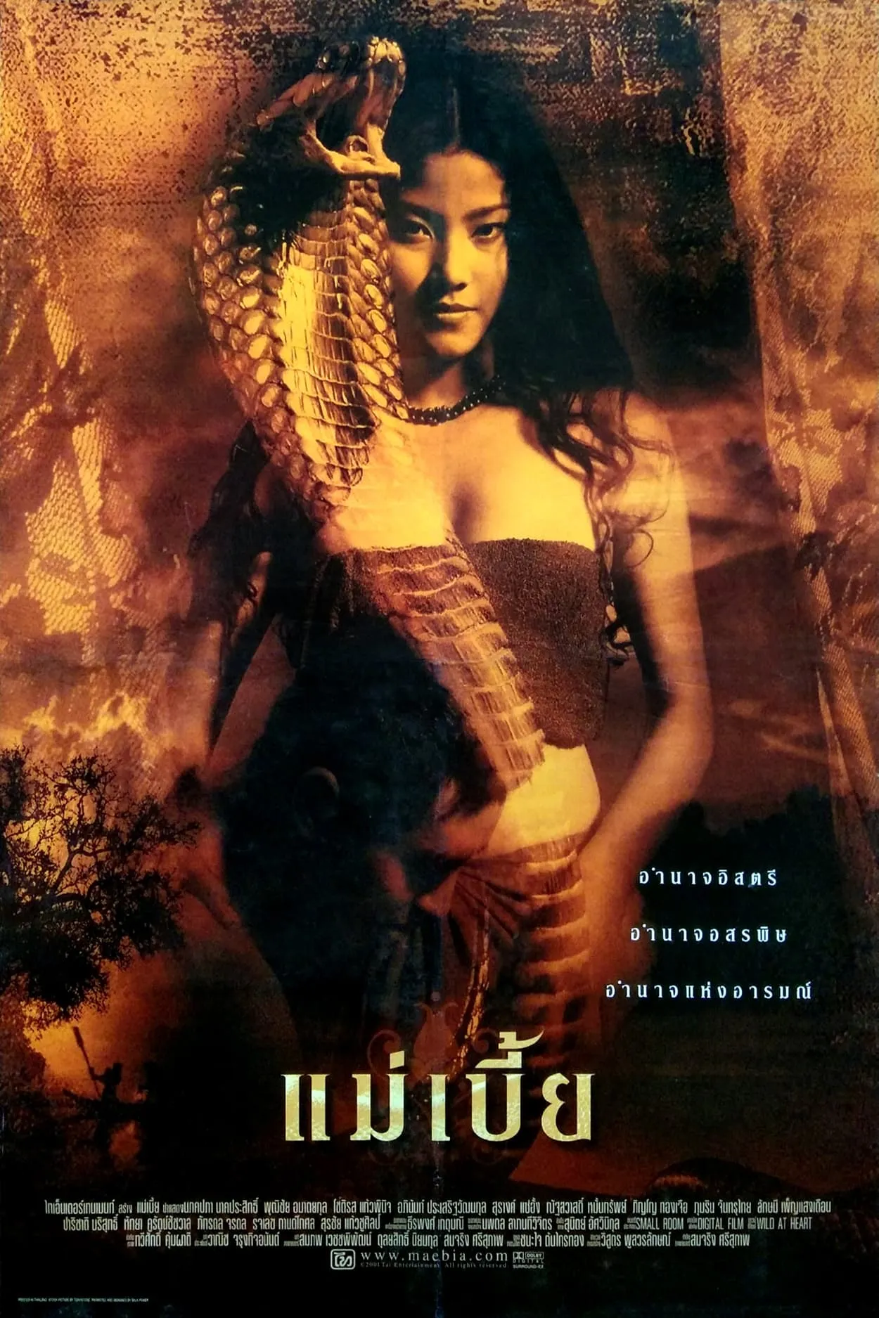 ภาพยนตร์ แม่เบี้ย พากย์ไทย ครบทุกตอน ดูฟรี HD