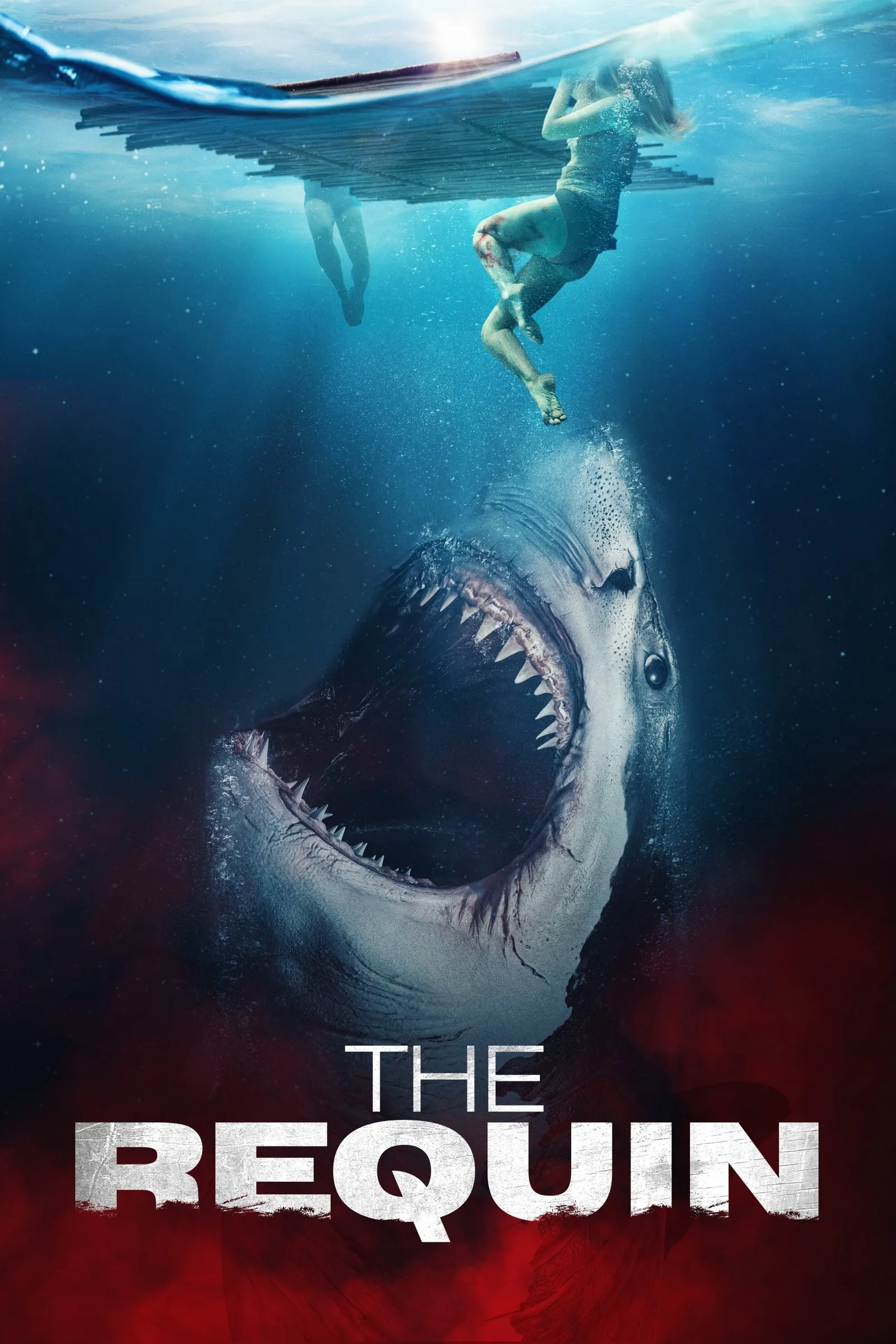 ภาพยนตร์ The Requin ซับไทย ครบทุกตอน ดูฟรี HD