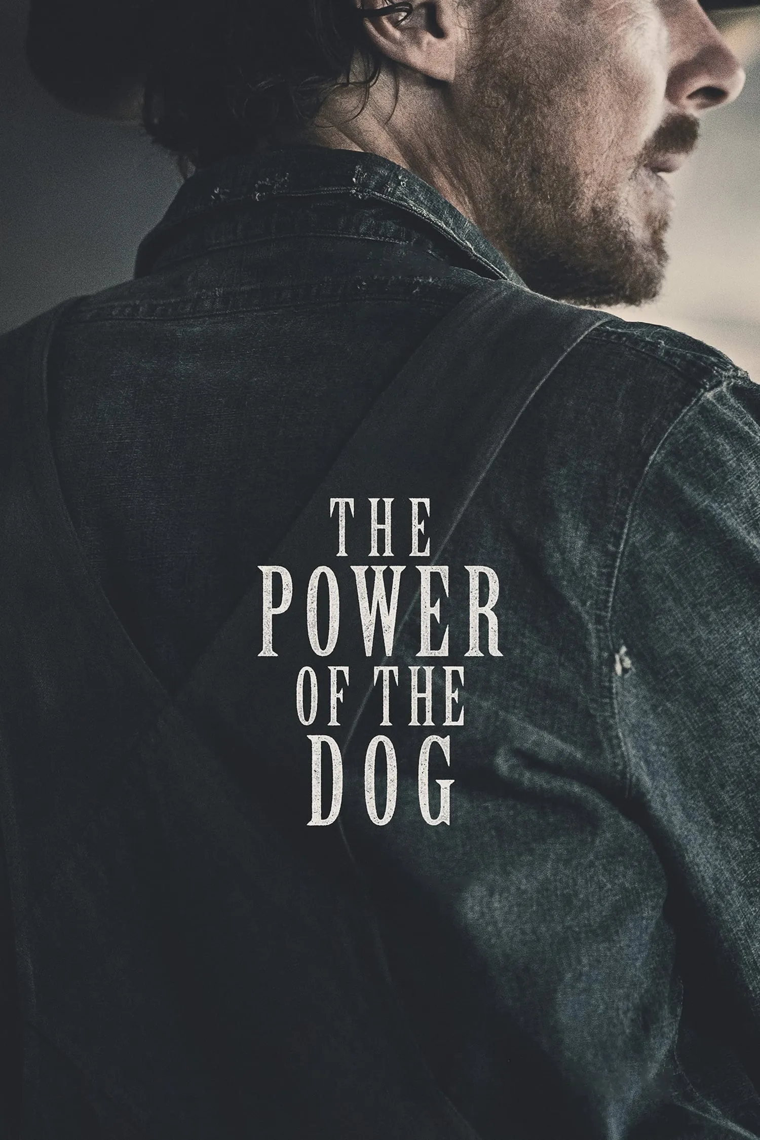 ภาพยนตร์ The Power of the Dog ซับไทย ครบทุกตอน ดูฟรี HD