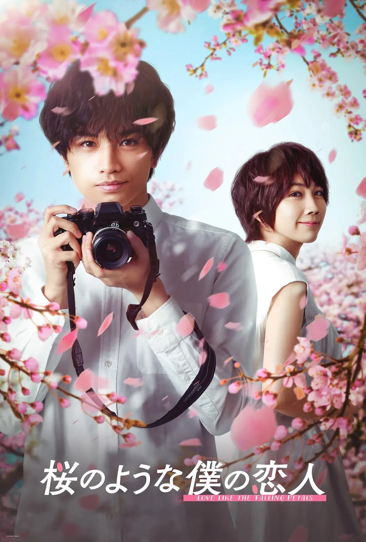 ภาพยนตร์ ใบไม้ผลิที่ไม่มีเธอเป็นซากุระ ซับไทย ครบทุกตอน ดูฟรี HD