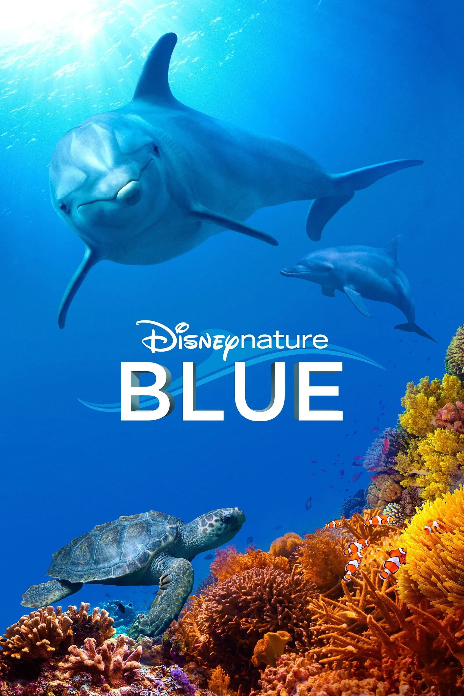 ภาพยนตร์ Dolphin Reef ซับไทย ครบทุกตอน ดูฟรี HD