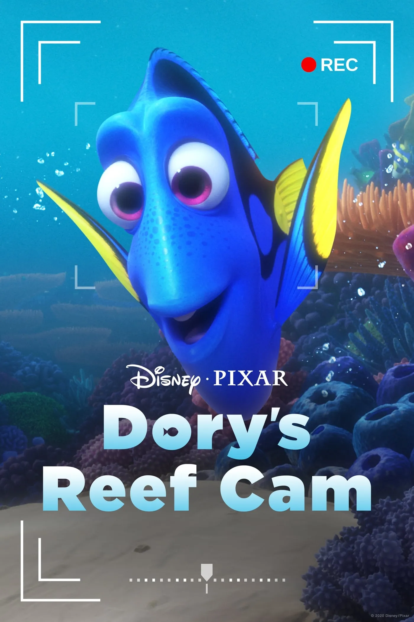 ภาพยนตร์ Dory's Reef Cam ซับไทย ครบทุกตอน ดูฟรี HD