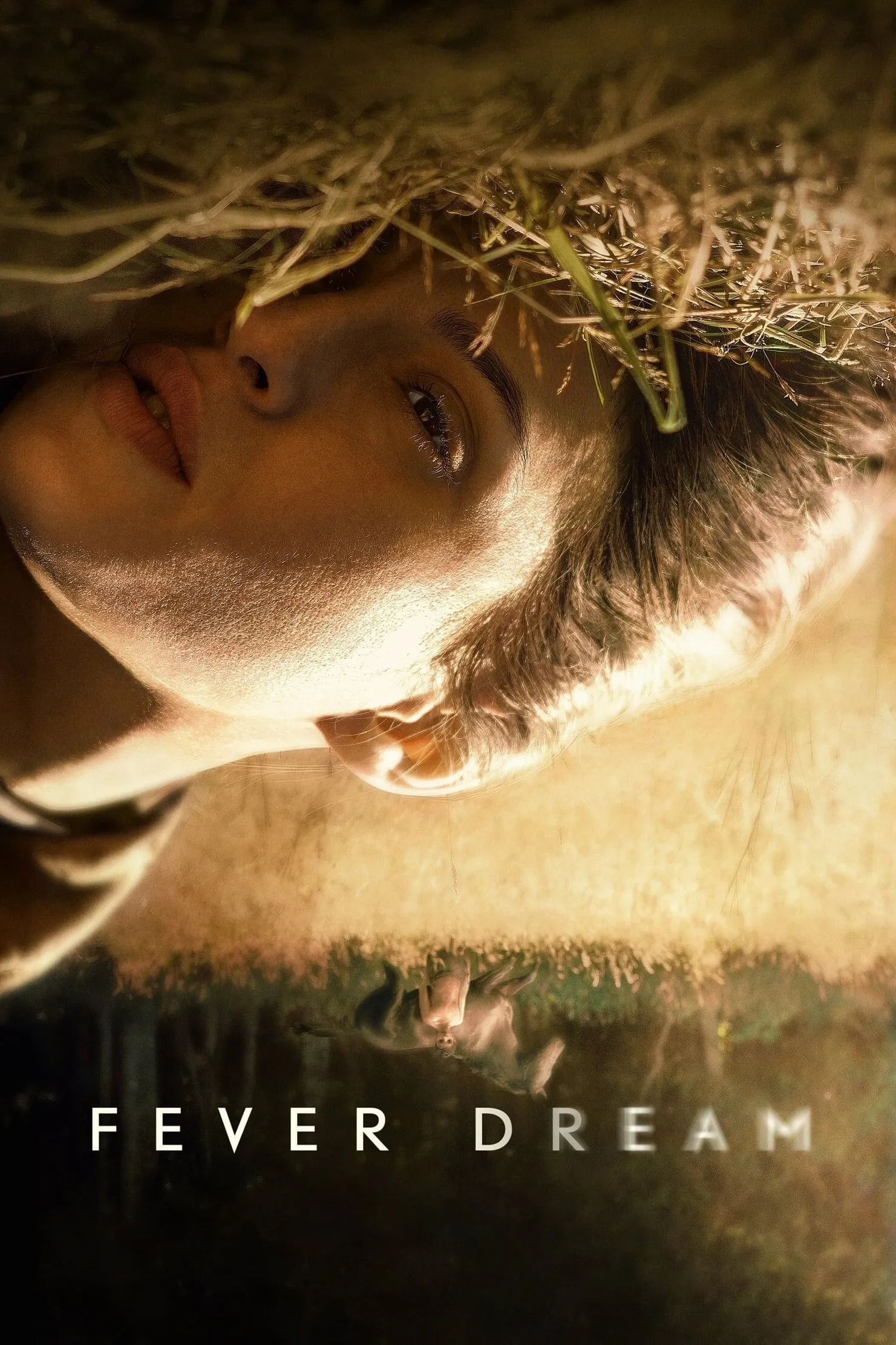 ภาพยนตร์ ฟีเวอร์ ดรีม ซับไทย ครบทุกตอน ดูฟรี HD