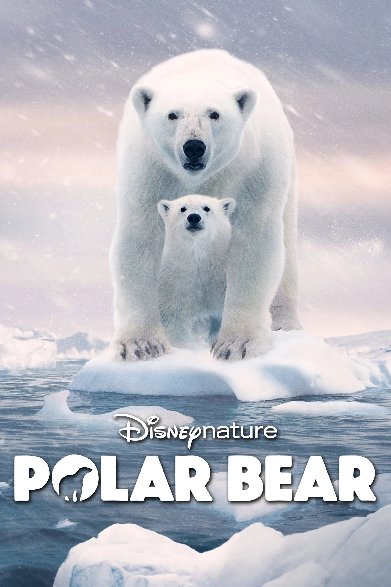 ภาพยนตร์ Polar Bear ซับไทย ครบทุกตอน ดูฟรี HD