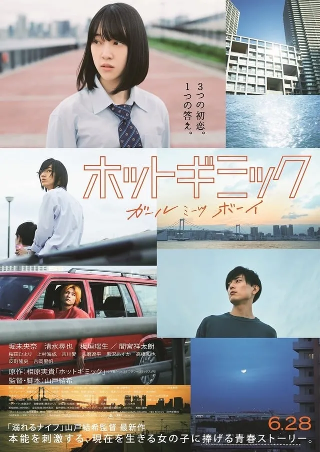 ภาพยนตร์ รักร้อนซ่อนกล ซับไทย ครบทุกตอน ดูฟรี HD