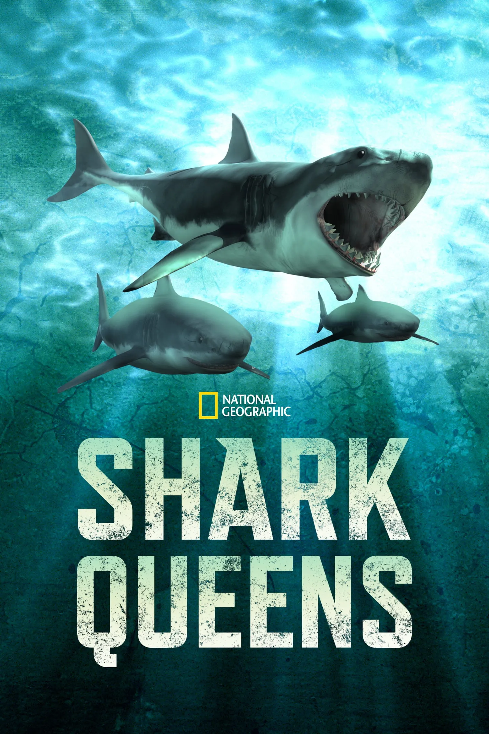 ภาพยนตร์ Shark Queens ซับไทย ครบทุกตอน ดูฟรี HD