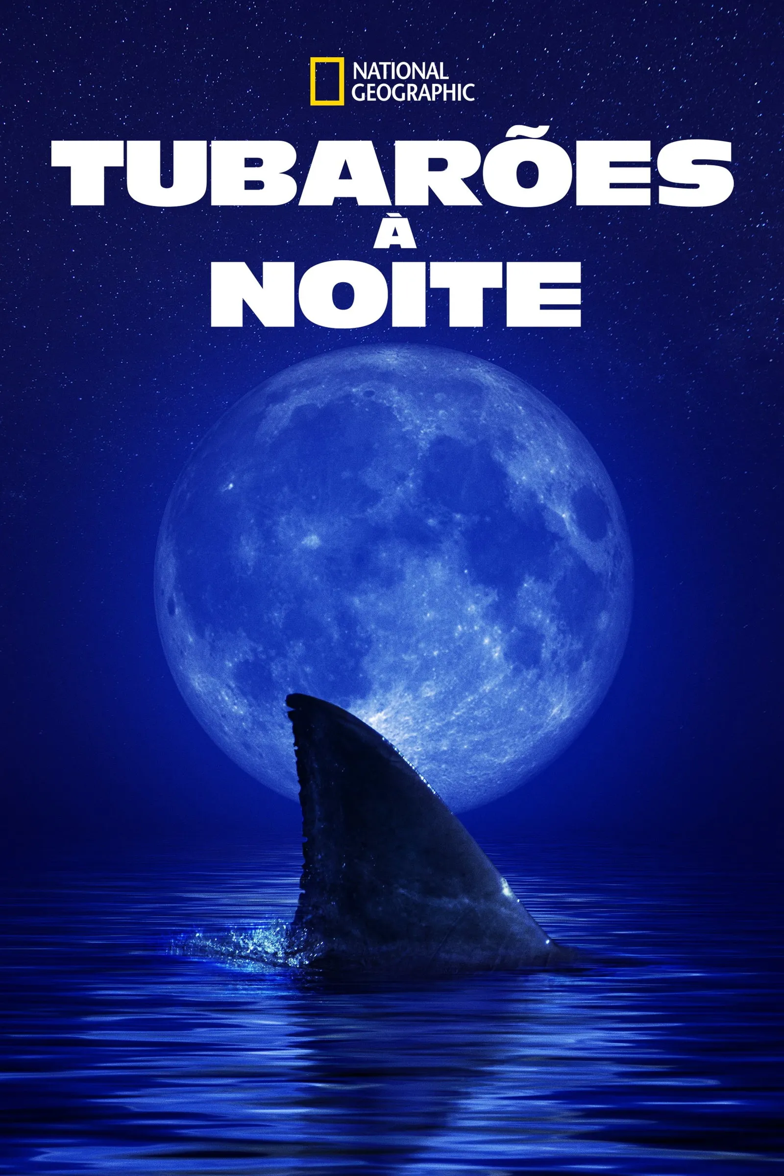 ภาพยนตร์ Shark Side of the Moon ซับไทย ครบทุกตอน ดูฟรี HD