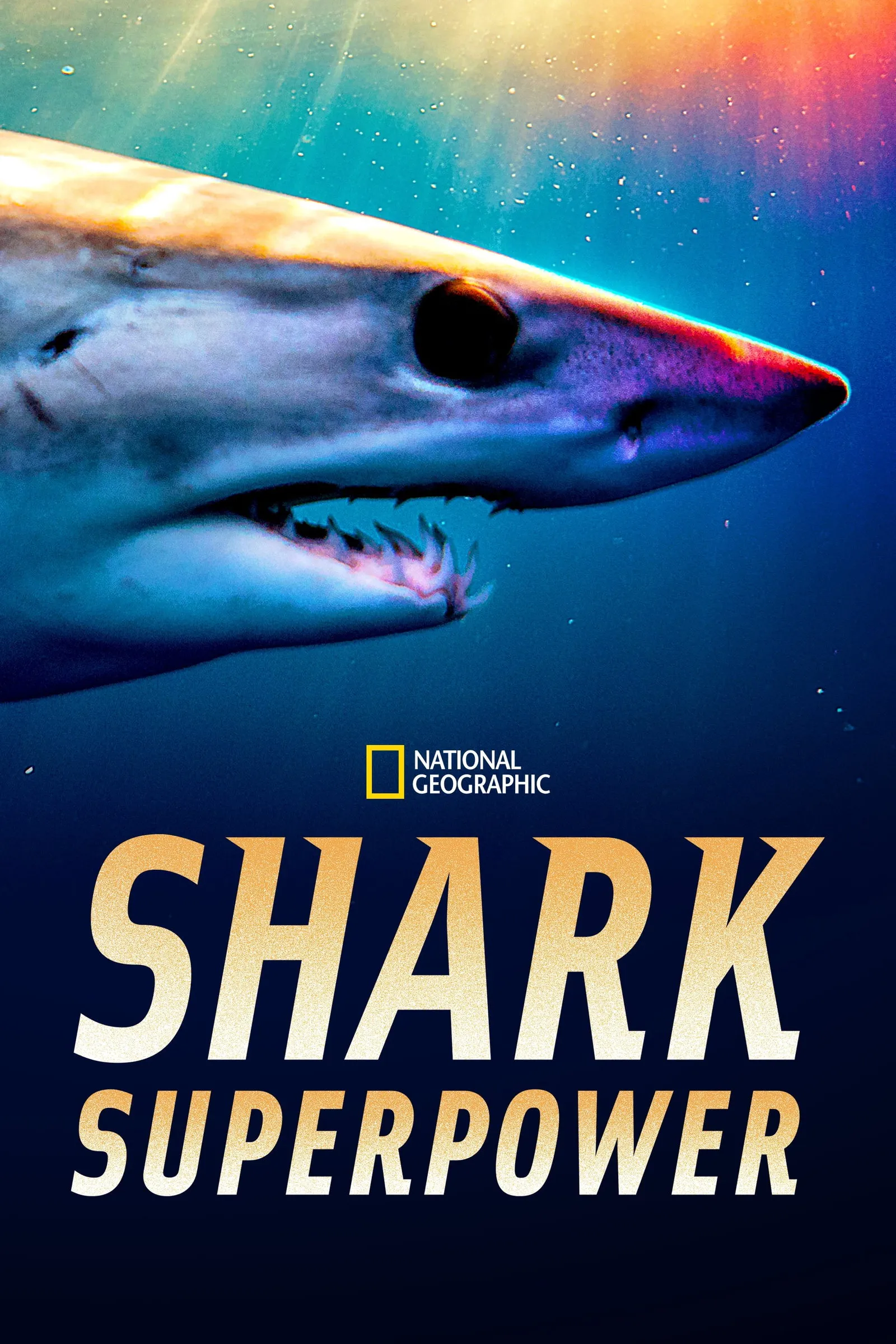 ภาพยนตร์ Shark Superpower ซับไทย ครบทุกตอน ดูฟรี HD