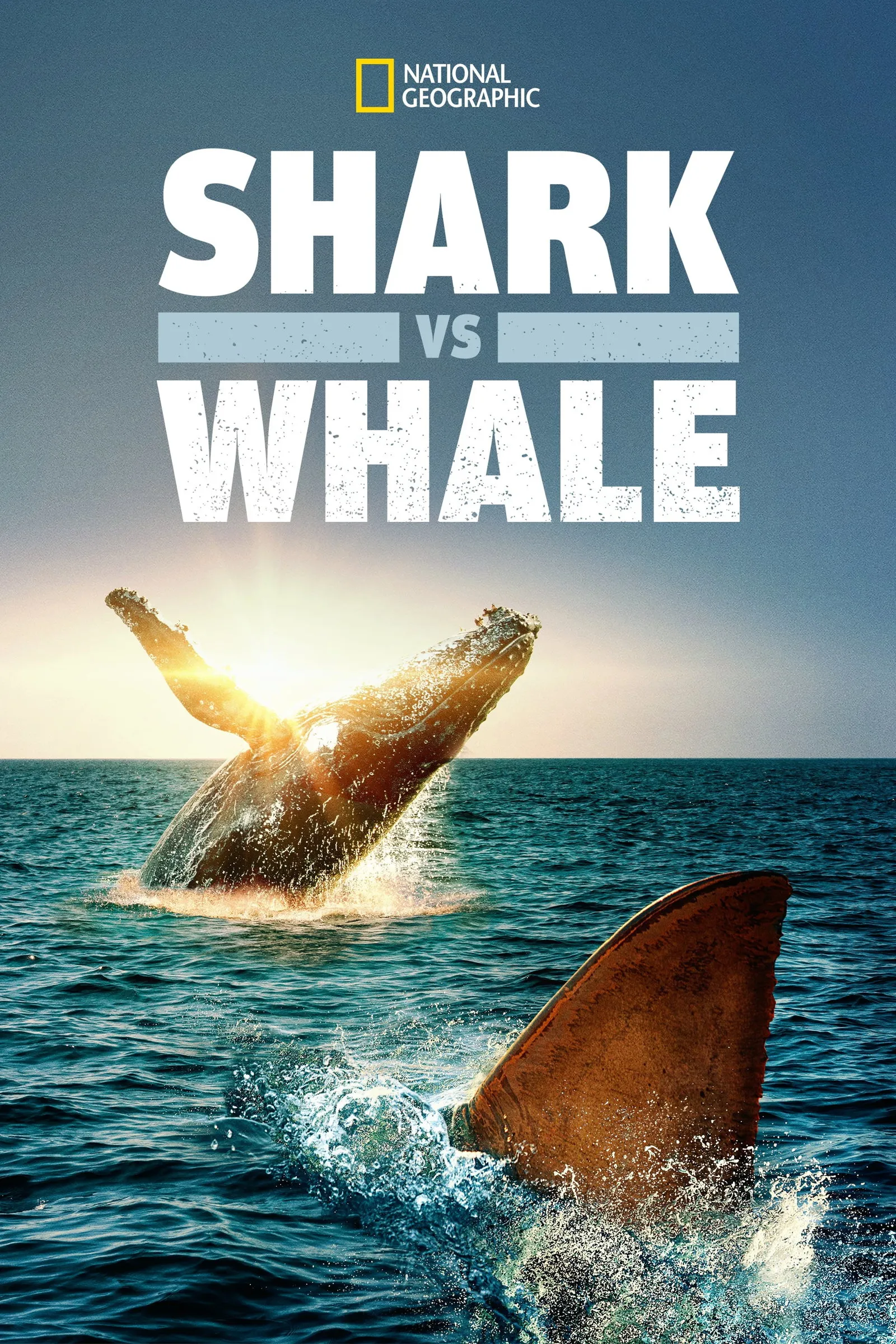 ภาพยนตร์ Shark Vs. Whale ซับไทย ครบทุกตอน ดูฟรี HD