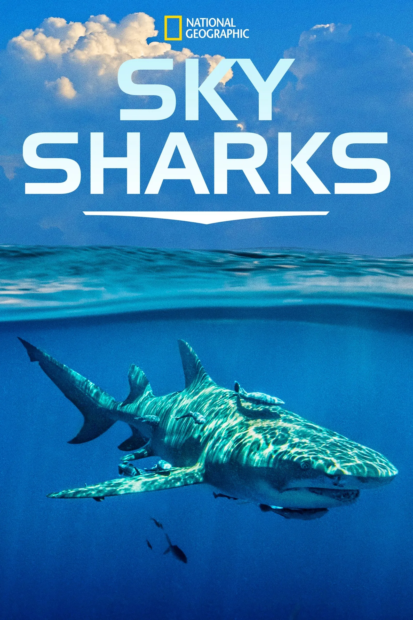 ภาพยนตร์ Sky Sharks ซับไทย ครบทุกตอน ดูฟรี HD