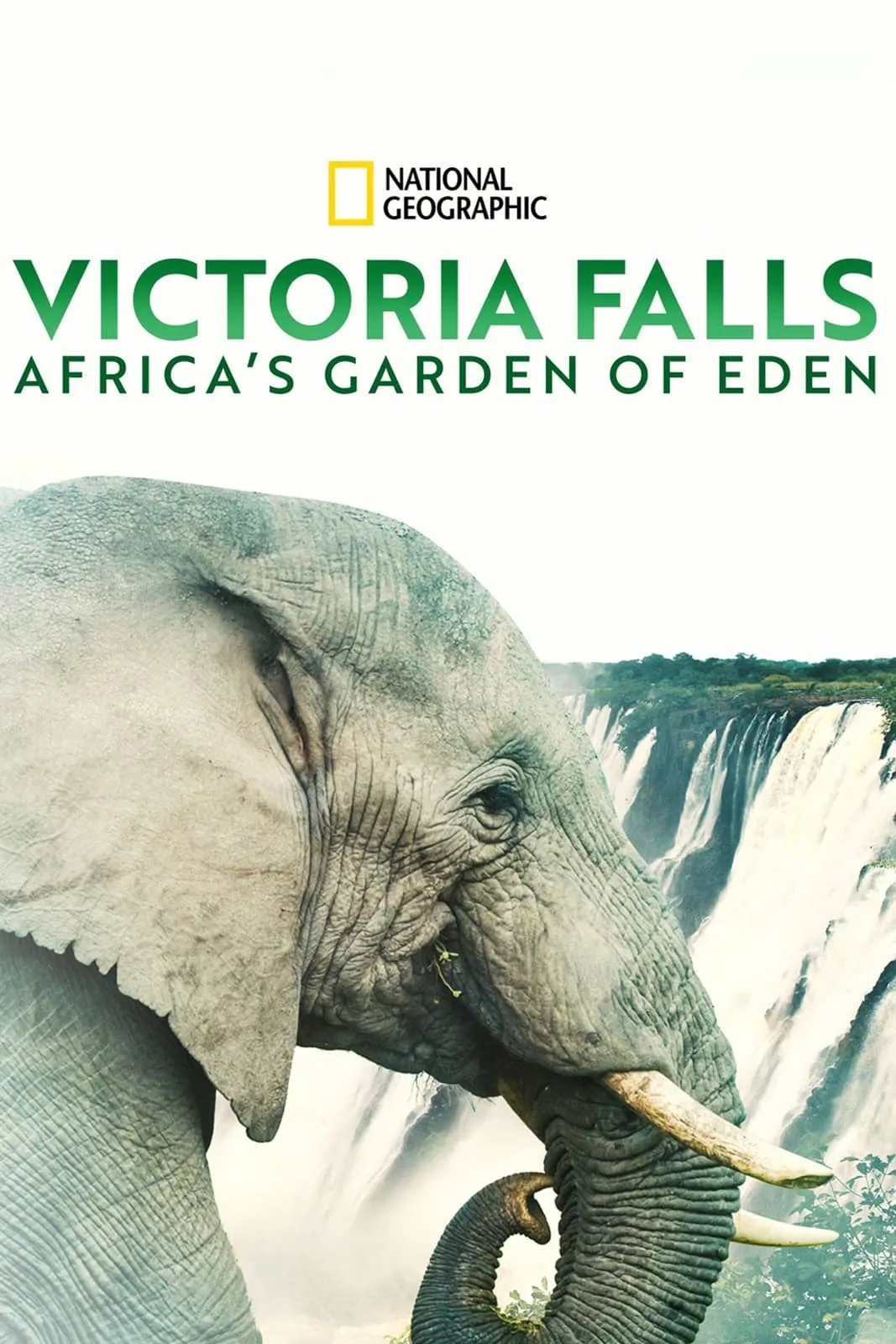 ภาพยนตร์ Victoria Falls: Africa's Garden of Eden ซับไทย ครบทุกตอน ดูฟรี HD