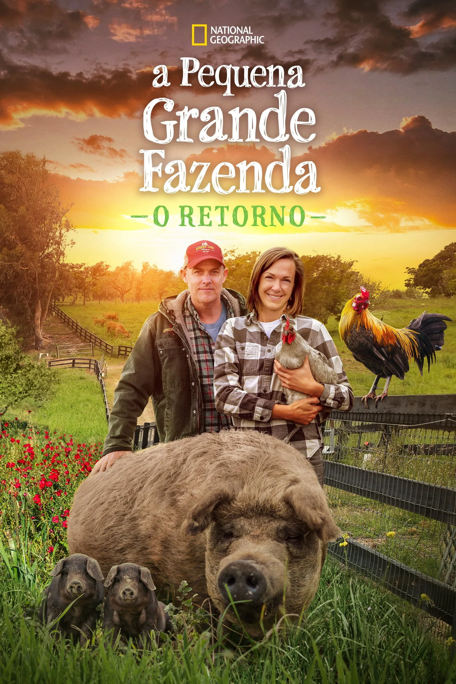 ภาพยนตร์ The Biggest Little Farm: The Return ซับไทย ครบทุกตอน ดูฟรี HD