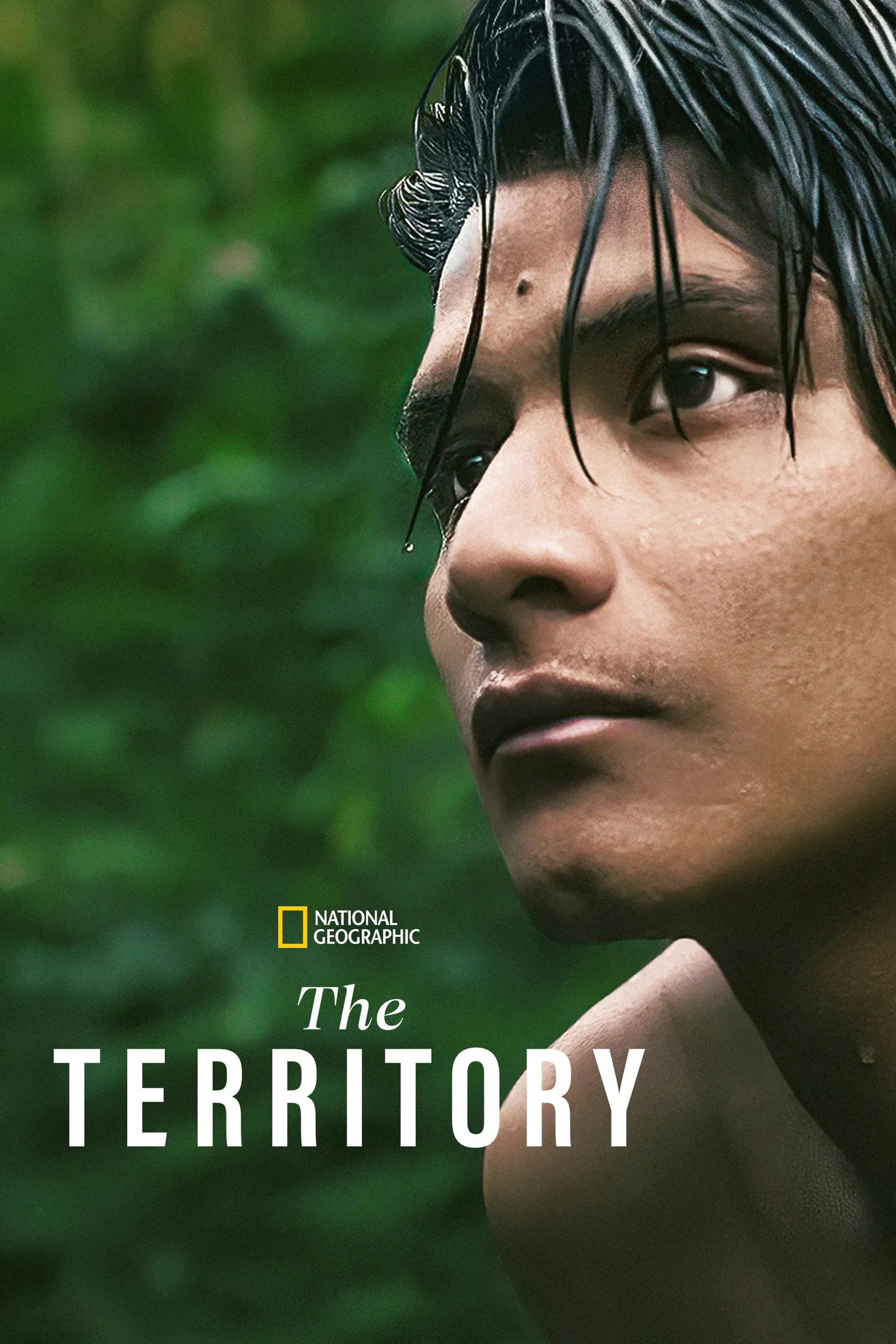 ภาพยนตร์ The Territory ซับไทย ครบทุกตอน ดูฟรี HD