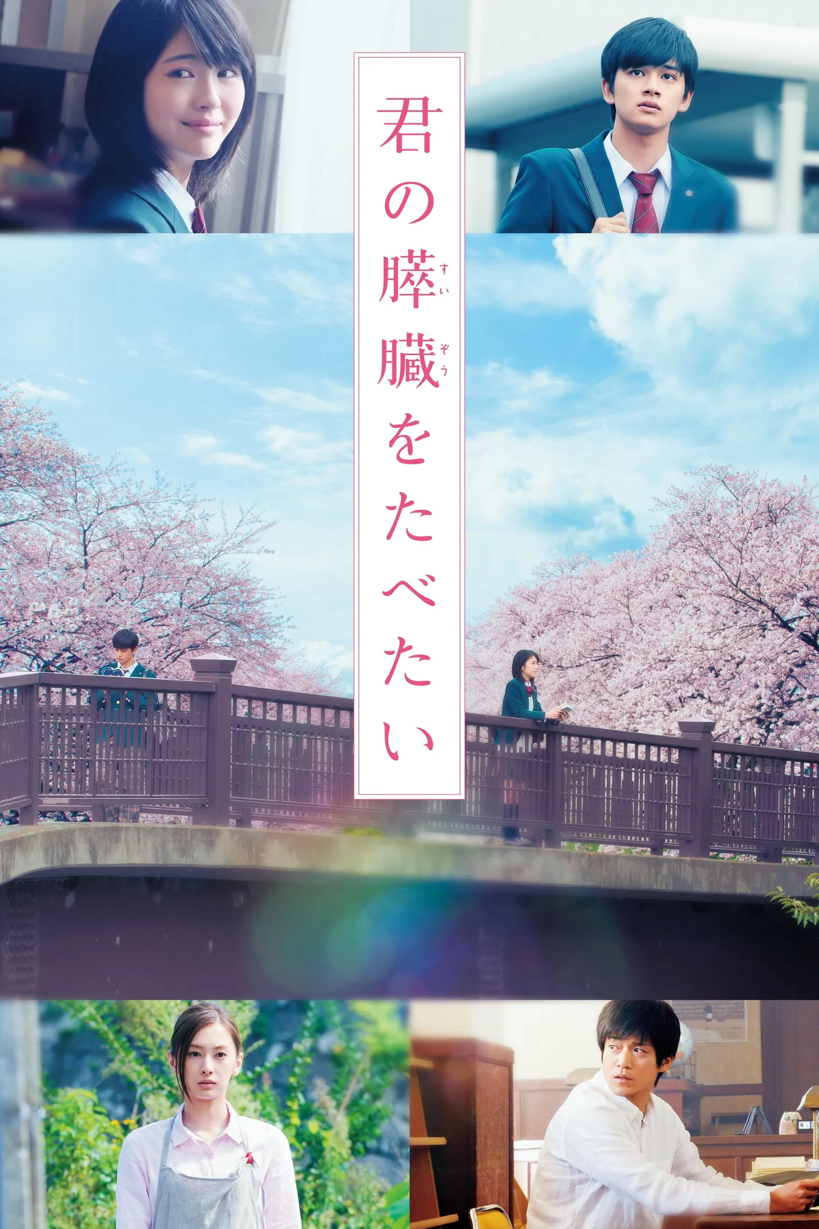 ภาพยนตร์ ตับอ่อนเธอนั้น ขอฉันเถอะนะ ซับไทย ครบทุกตอน ดูฟรี HD