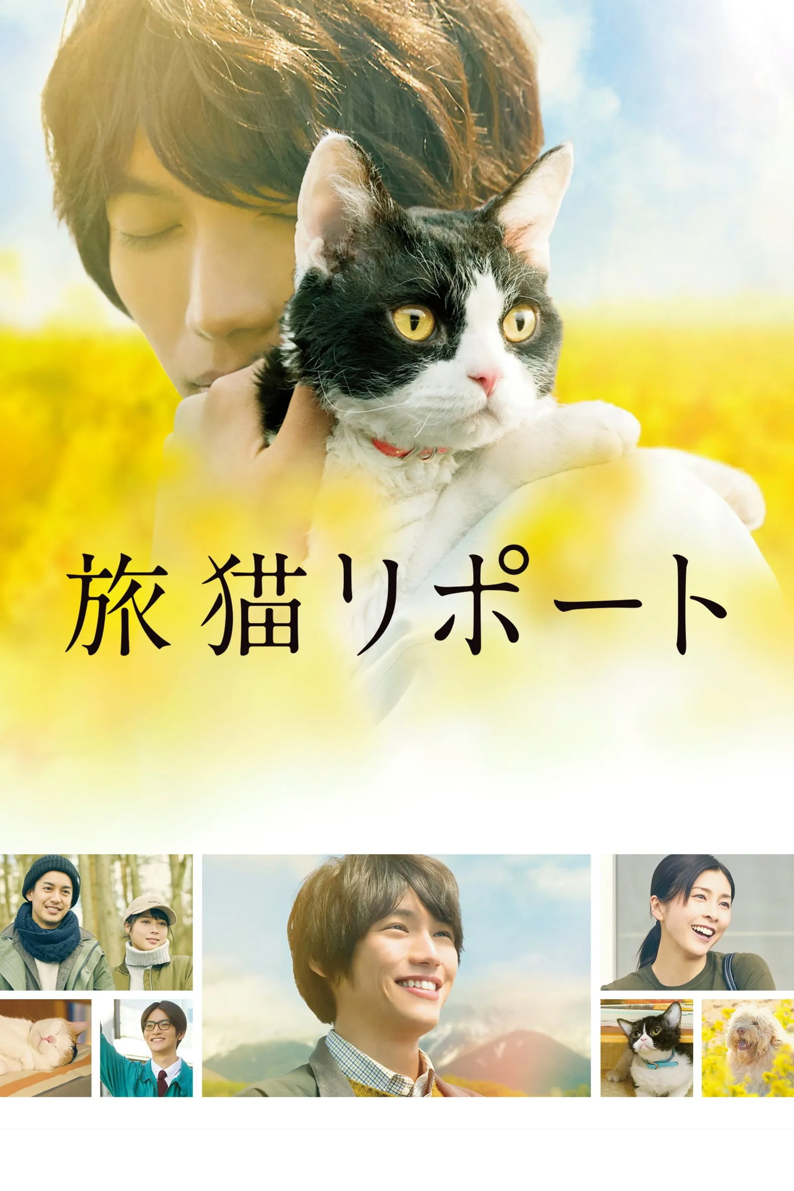 ภาพยนตร์ ผม แมว และการเดินทางของเรา ซับไทย ครบทุกตอน ดูฟรี HD