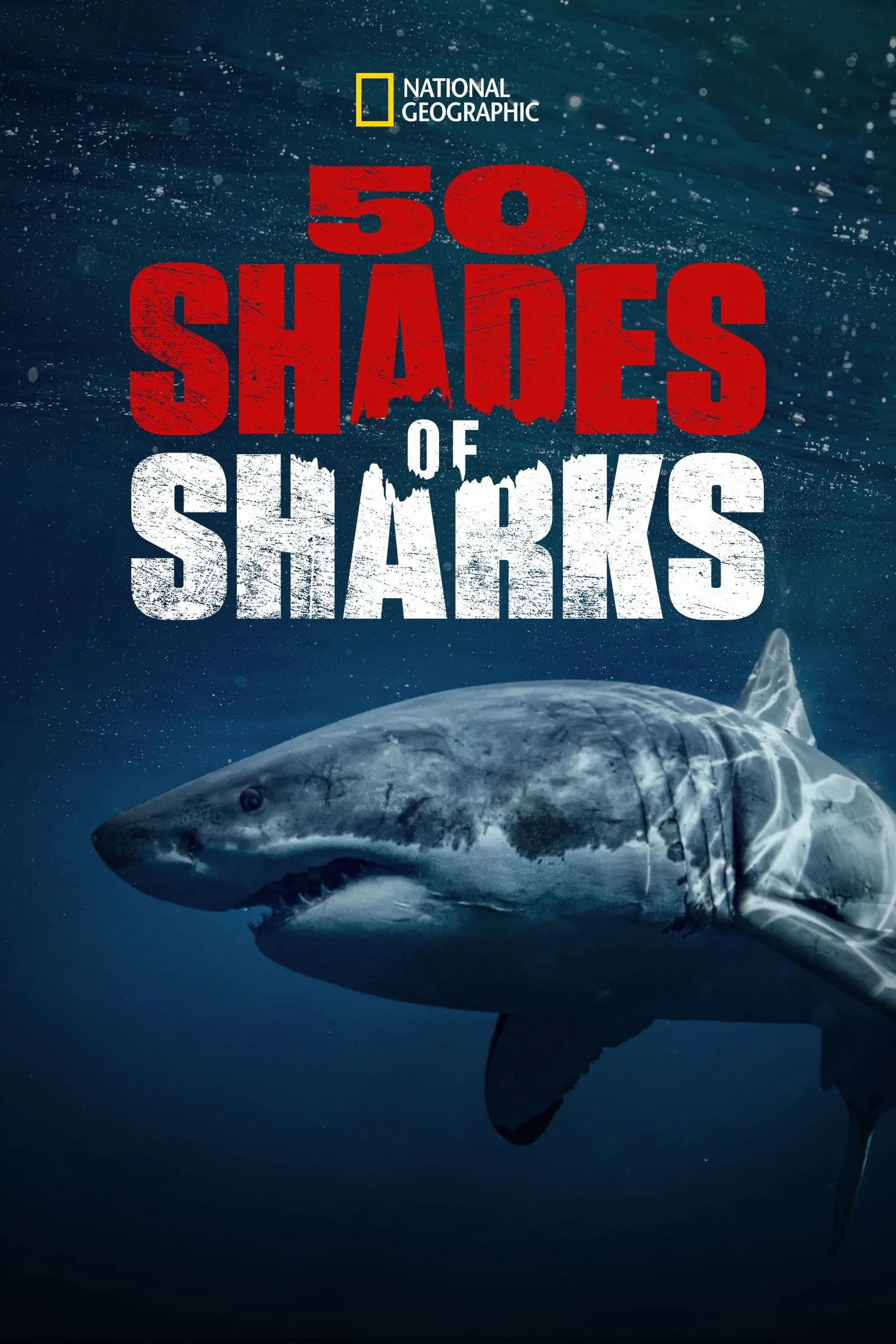 ภาพยนตร์ 50 Shades of Sharks ซับไทย ครบทุกตอน ดูฟรี HD