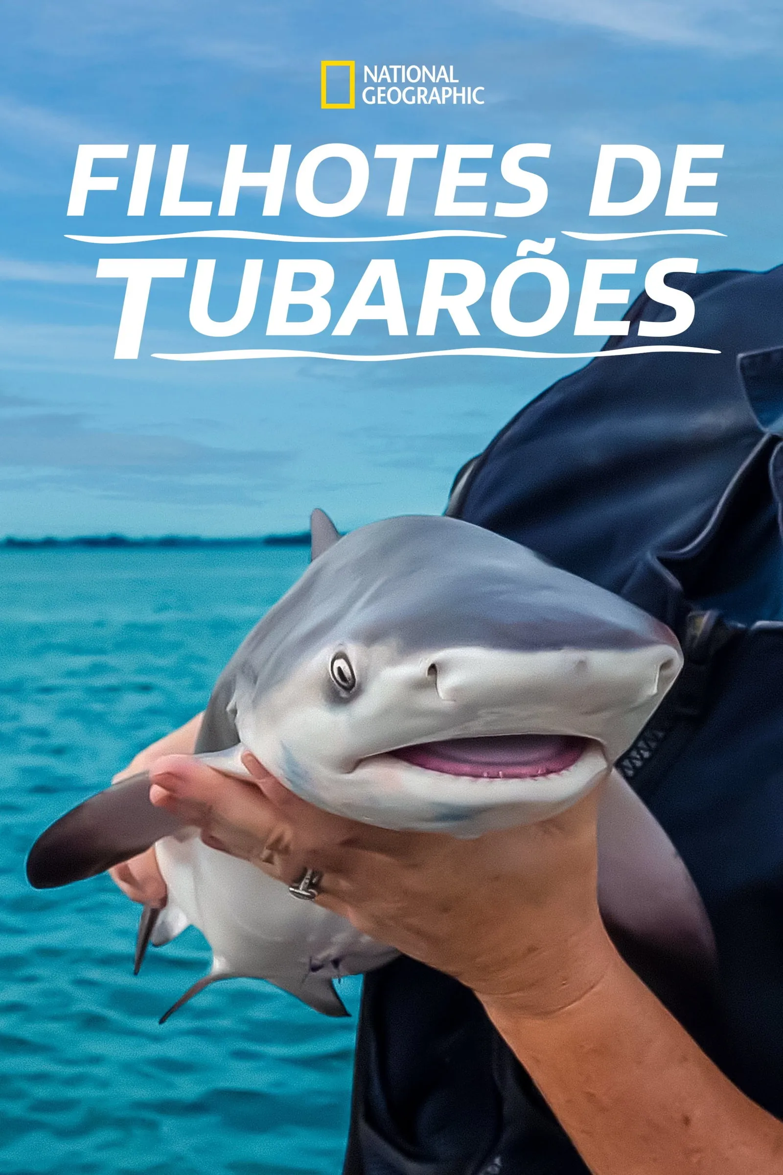 ภาพยนตร์ Baby Sharks ซับไทย ครบทุกตอน ดูฟรี HD