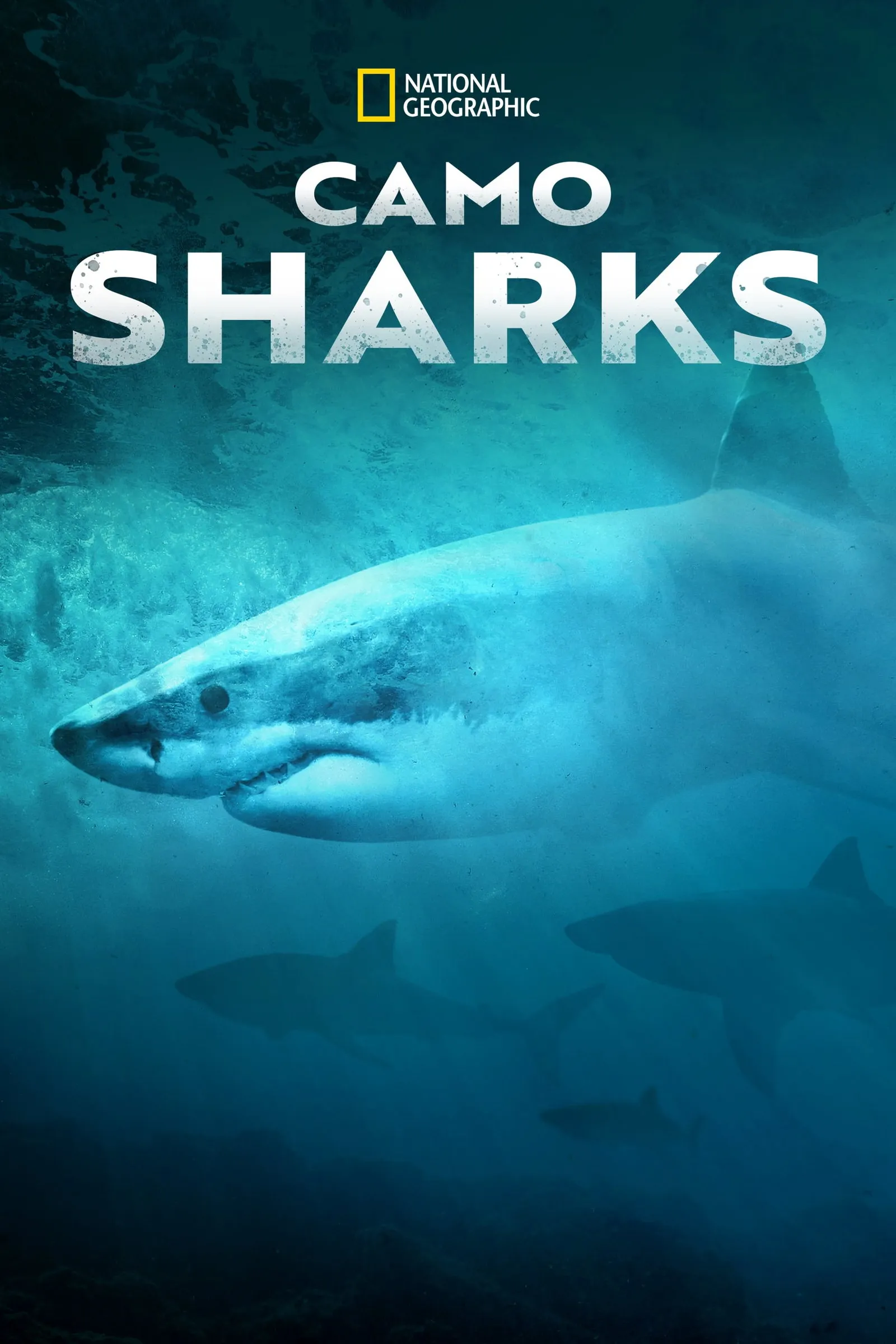 ภาพยนตร์ Camo Sharks ซับไทย ครบทุกตอน ดูฟรี HD