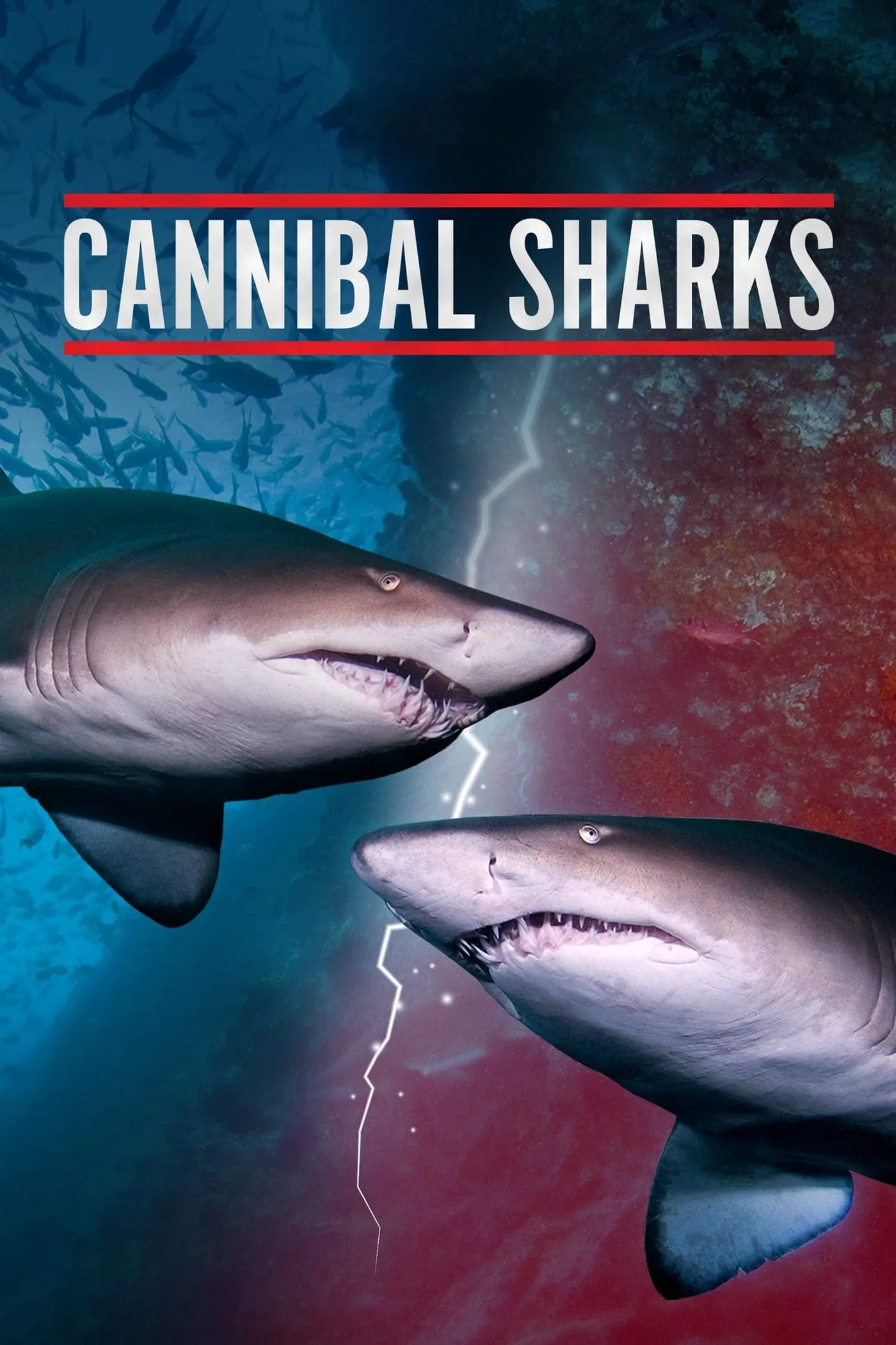 ภาพยนตร์ Cannibal Sharks ซับไทย ครบทุกตอน ดูฟรี HD