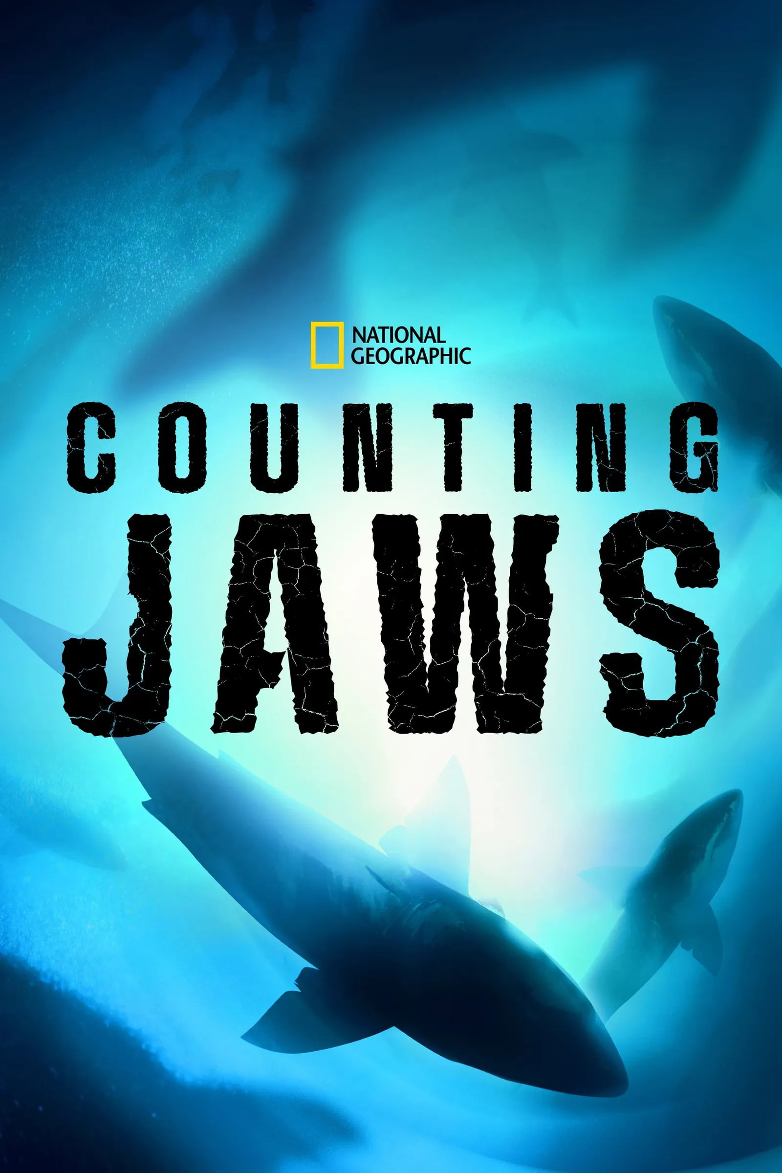 ภาพยนตร์ Counting Jaws ซับไทย ครบทุกตอน ดูฟรี HD