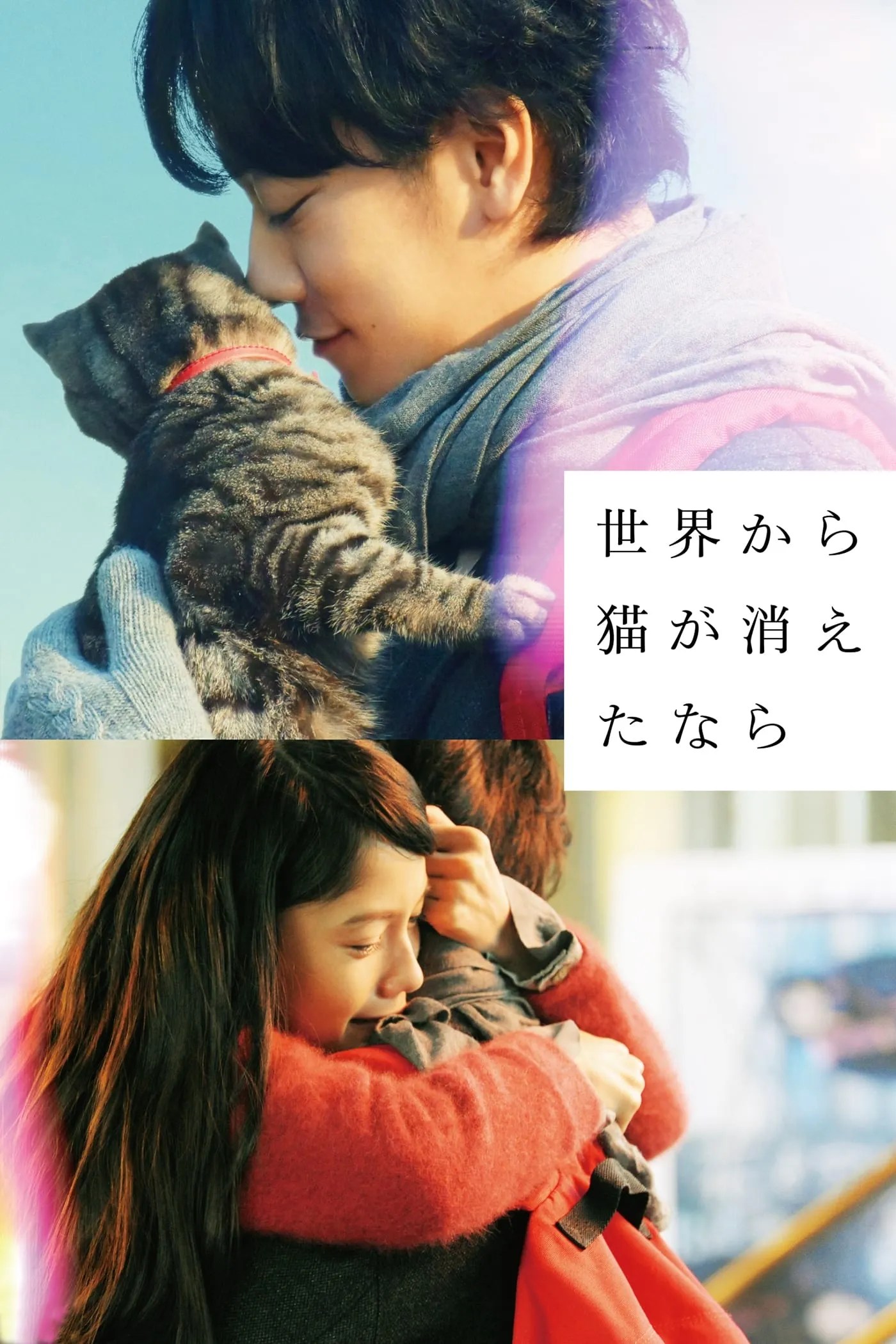 ภาพยนตร์ ถ้าแมวตัวนั้นหายไปจากโลกนี้ ซับไทย ครบทุกตอน ดูฟรี HD