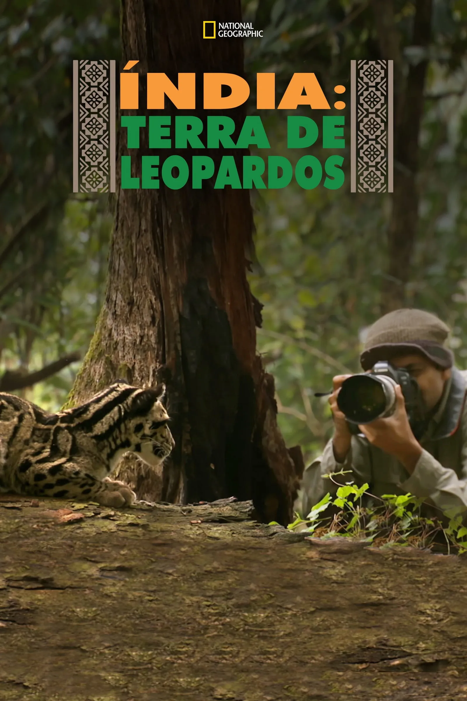 ภาพยนตร์ India's Wild Leopards ซับไทย ครบทุกตอน ดูฟรี HD