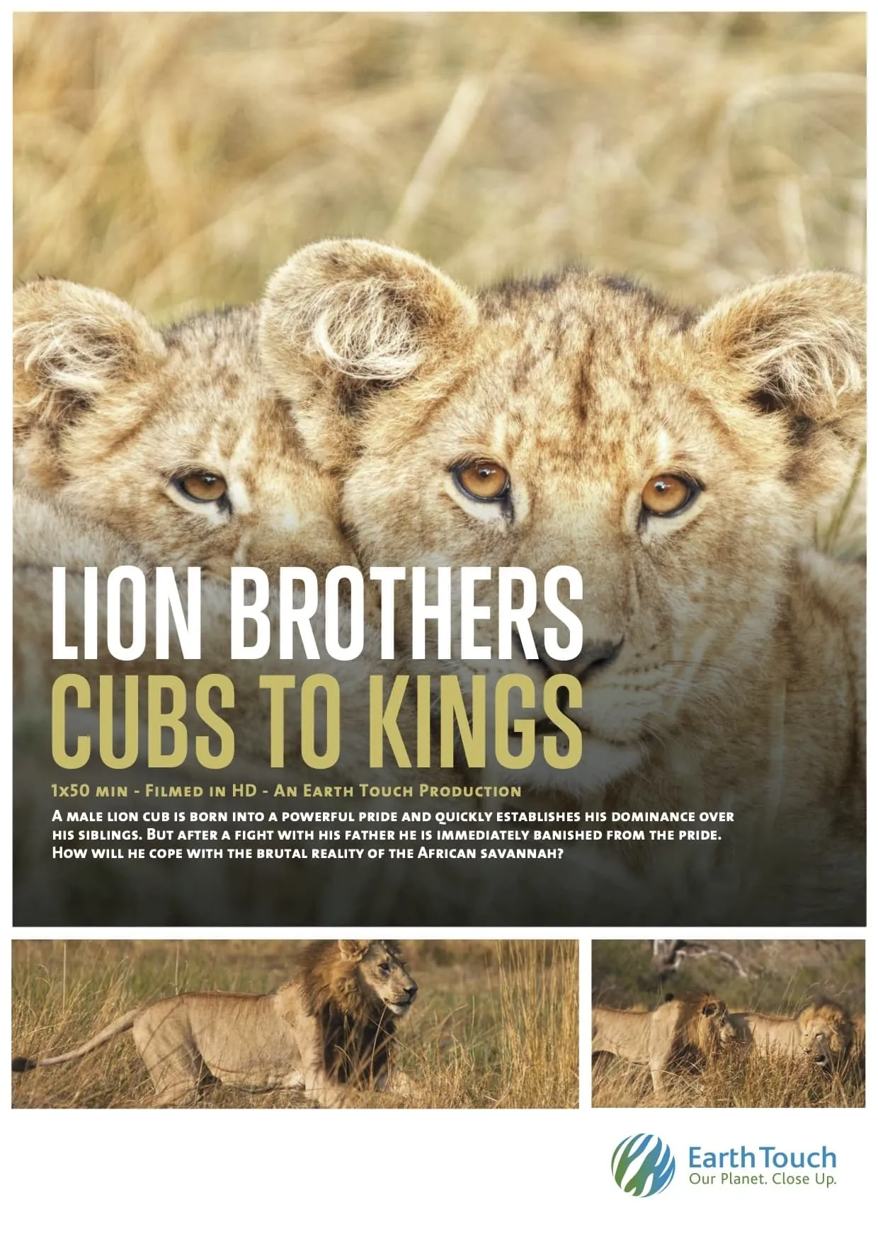 ภาพยนตร์ Lion Brothers: Cubs to Kings ซับไทย ครบทุกตอน ดูฟรี HD