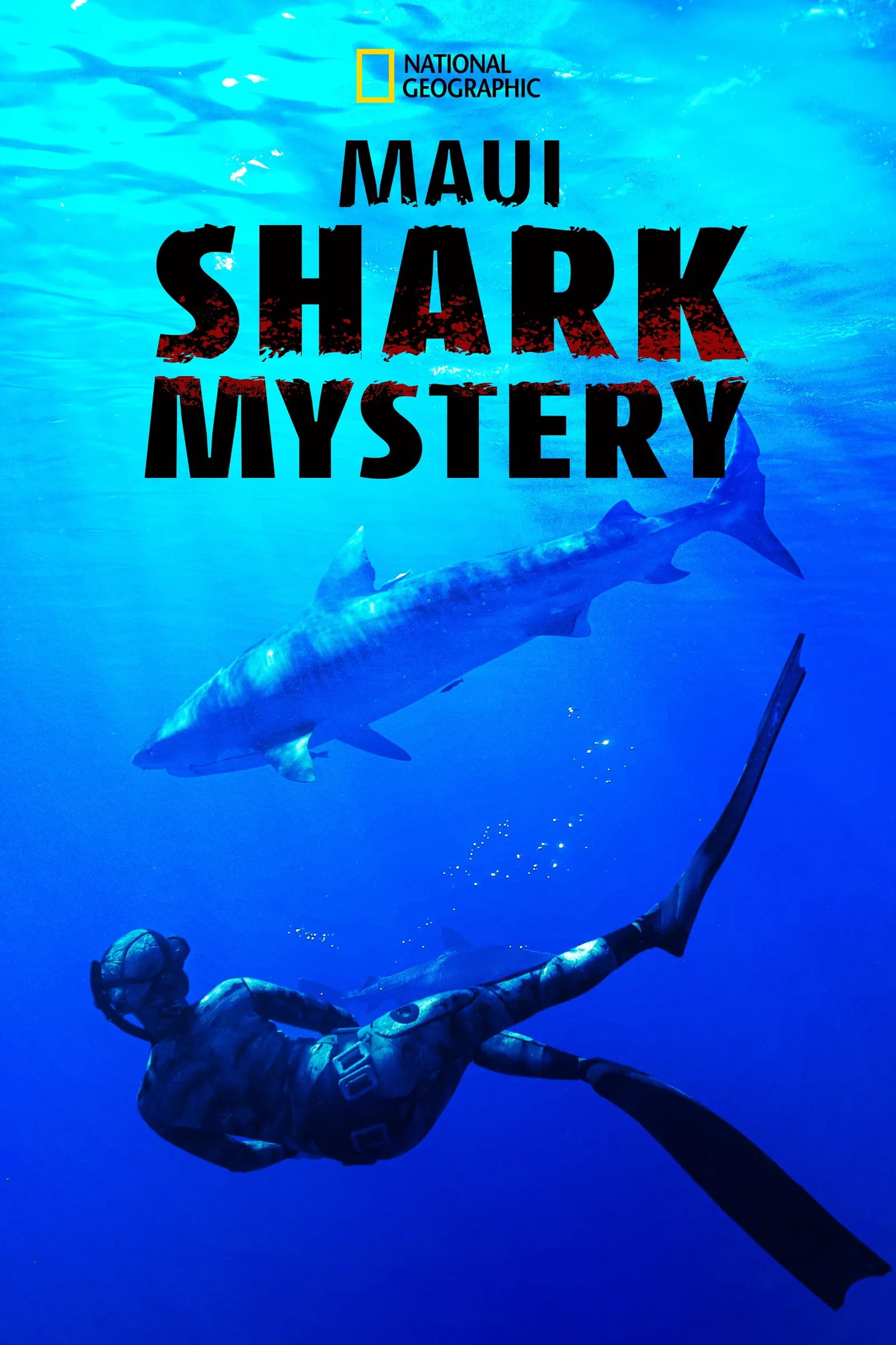 ภาพยนตร์ Maui Shark Mystery ซับไทย ครบทุกตอน ดูฟรี HD