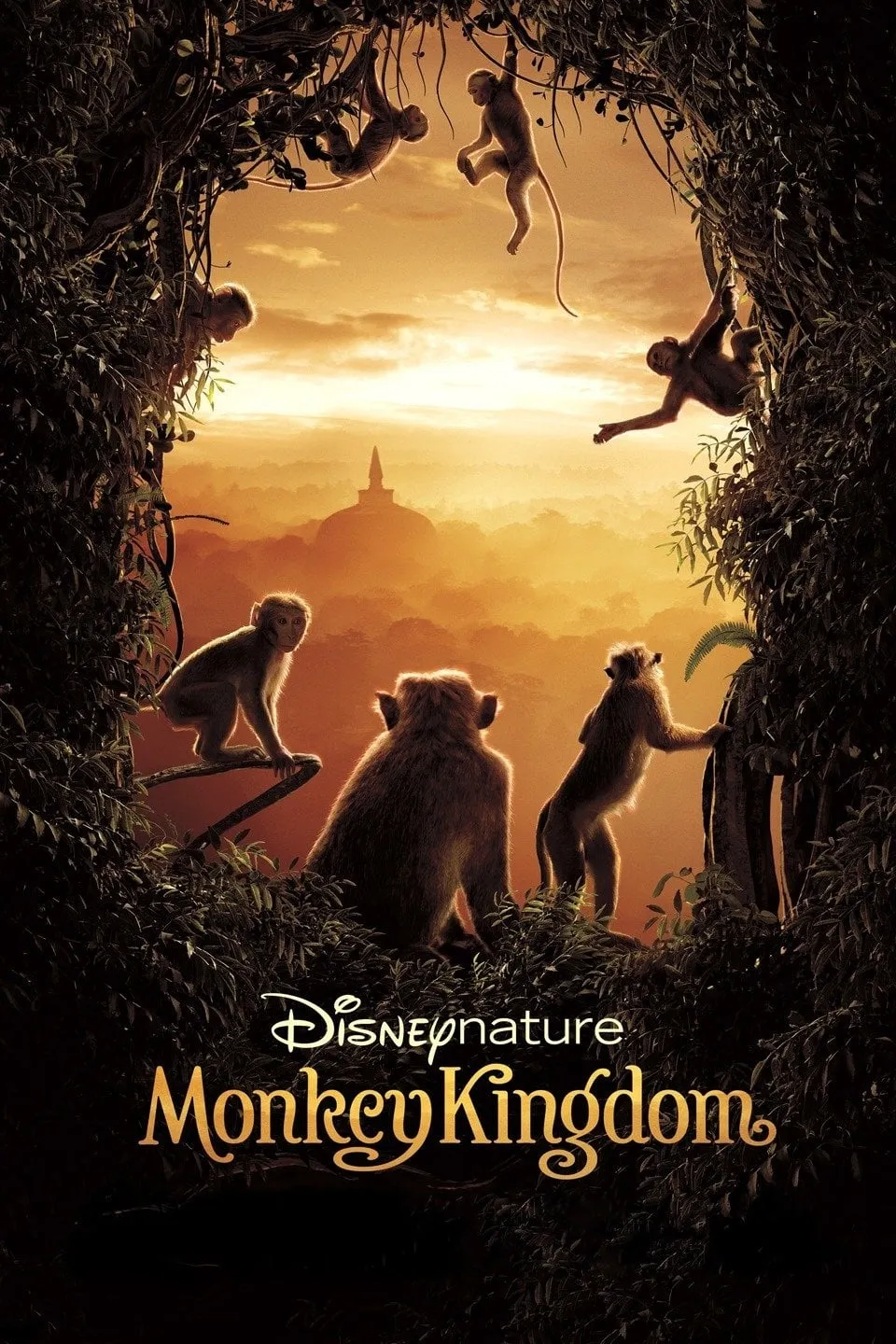 ภาพยนตร์ Monkey Kingdom ซับไทย ครบทุกตอน ดูฟรี HD