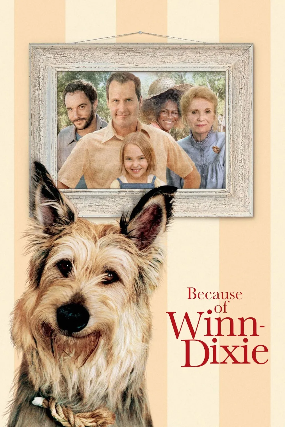 ภาพยนตร์ Because of Winn-Dixie ซับไทย ครบทุกตอน ดูฟรี HD