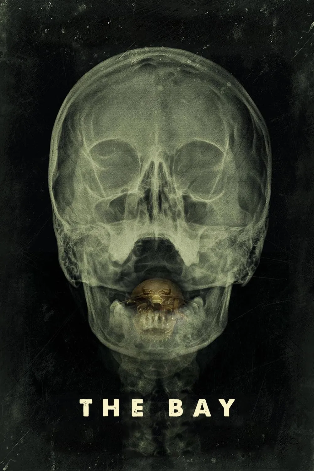 ภาพยนตร์ The Bay ซับไทย ครบทุกตอน ดูฟรี HD