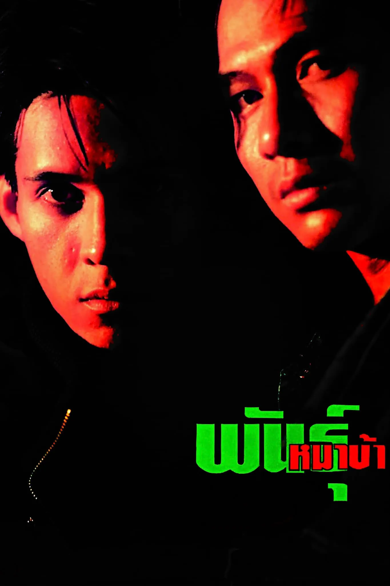 ภาพยนตร์ พันธุ์หมาบ้า พากย์ไทย ครบทุกตอน ดูฟรี HD