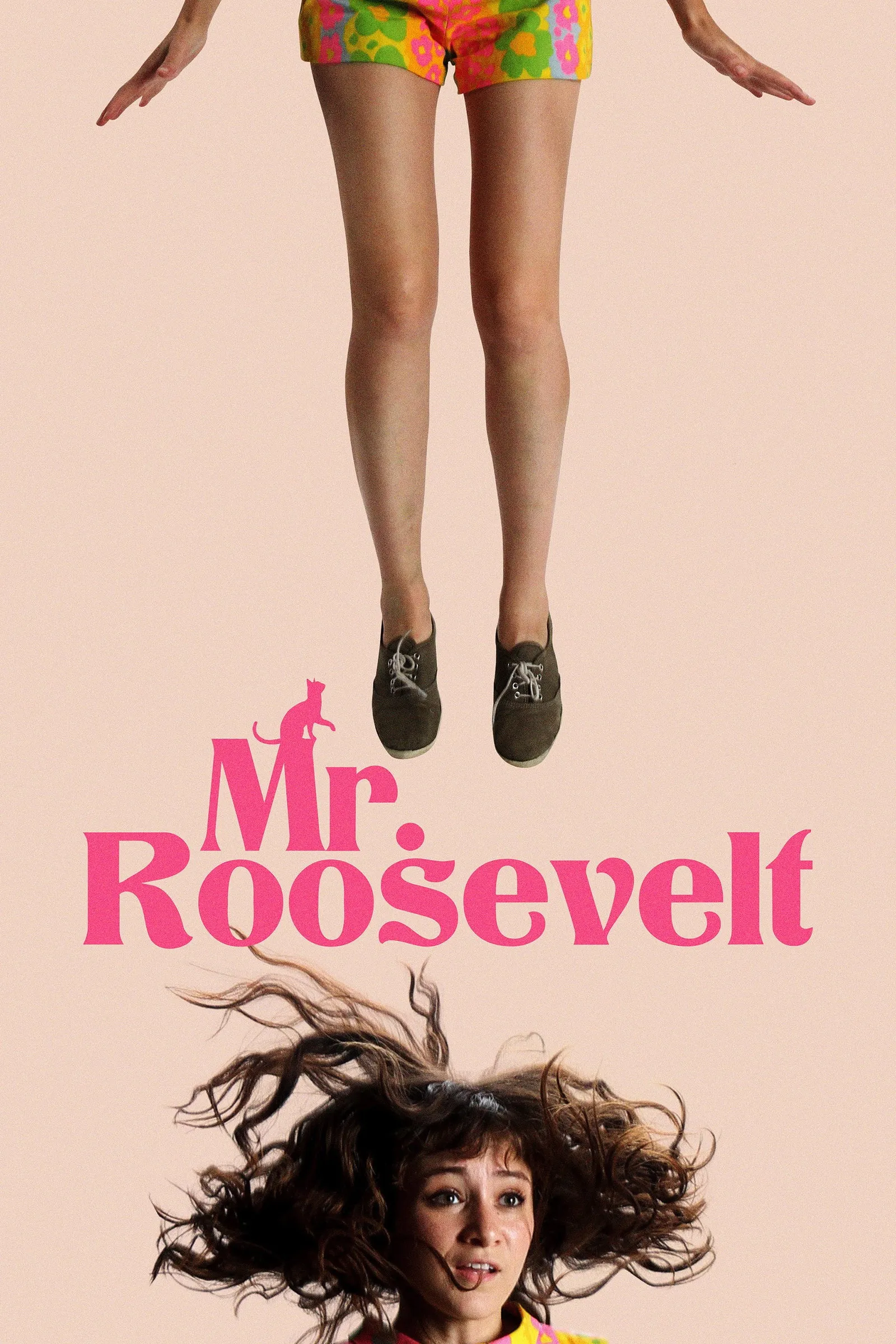 ภาพยนตร์ Mr. Roosevelt ซับไทย ครบทุกตอน ดูฟรี HD