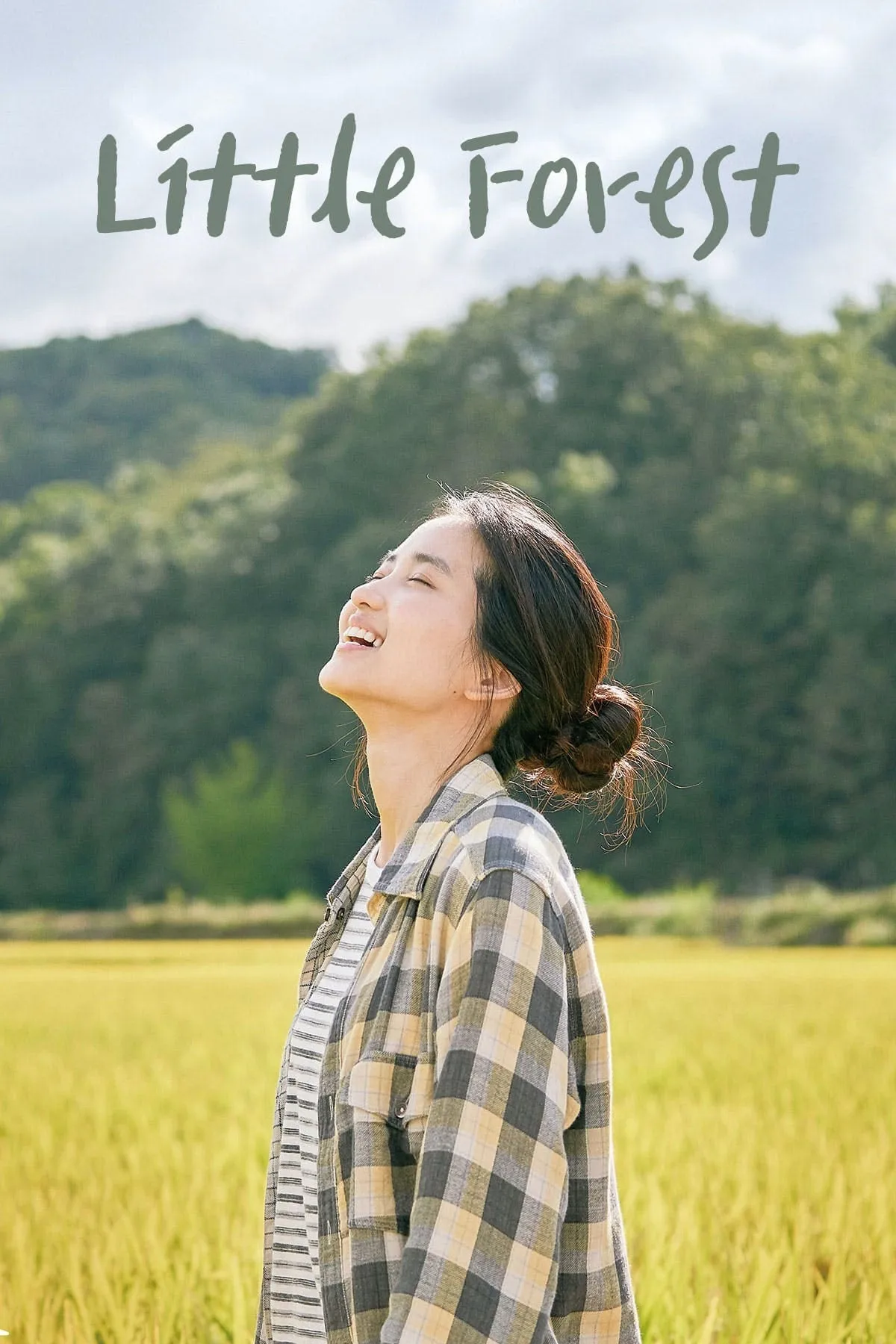 ภาพยนตร์ ลิตเติ้ลฟอเรสต์ ซับไทย ครบทุกตอน ดูฟรี HD