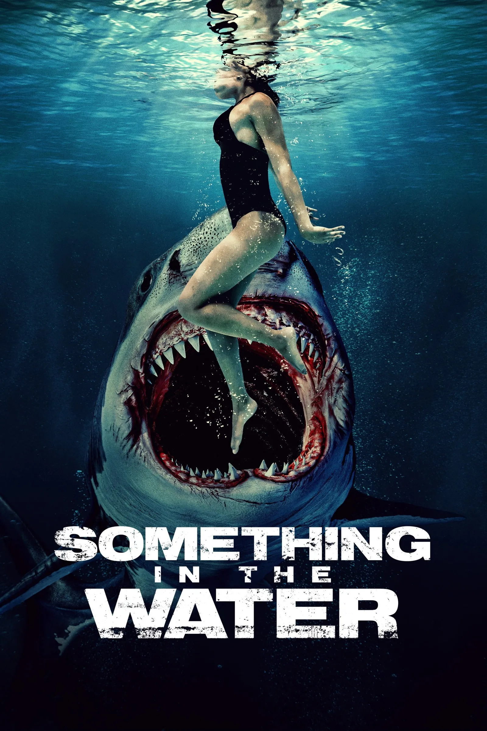 ภาพยนตร์ ครีบขย้ำคลั่งมหาสมุทร ซับไทย ครบทุกตอน ดูฟรี HD